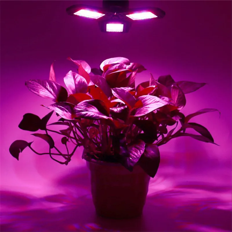 LED Phyto Lamp E27 100W 200W 300W Full Spectrum LED Grow Light Horticole Indoor Seedlings Flower Grow Tent Box Lamp for Plants