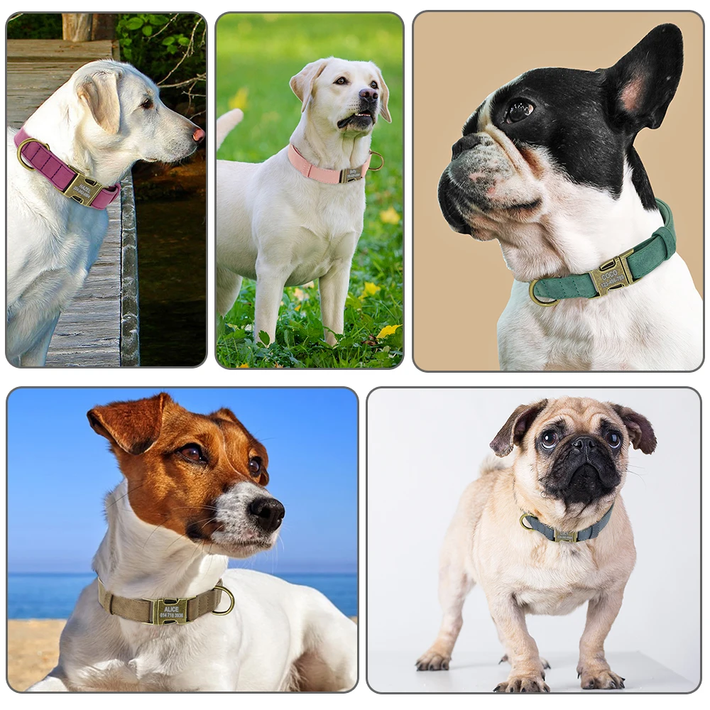 Personal isierte Hunde halsband Leine Set maßge schneiderte Hunde halsband Walking Blei Seil Leder Haustier Halsbänder für kleine mittelgroße Hunde Mops – Detail 26