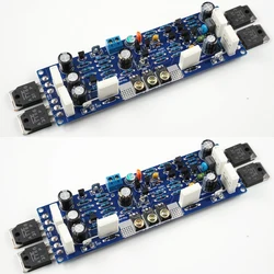 LJM L12-2 Power Amplifier Kit Dual Channel Ultra-low Distortion Amplifier Classic AMP DIY Kit/Finished With radiator