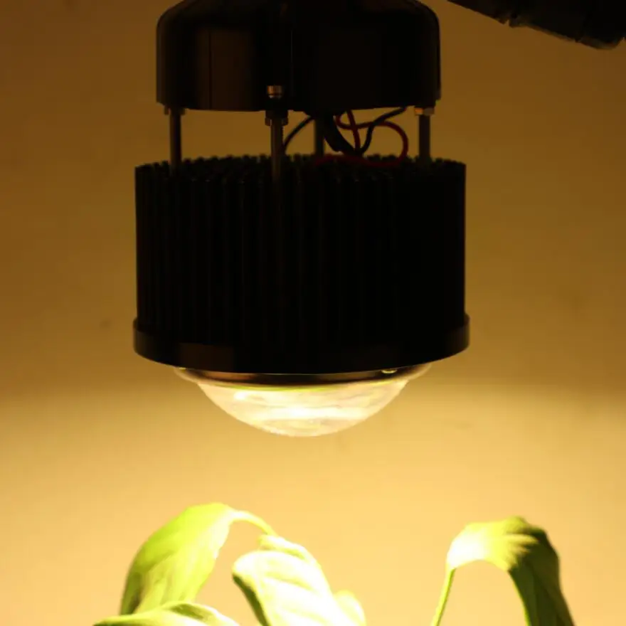 CREE-lámpara LED COB de espectro completo, luz blanca con controlador Meanwell, CXB3590/Citizen Clu048 1212c4, HBG-60-1400