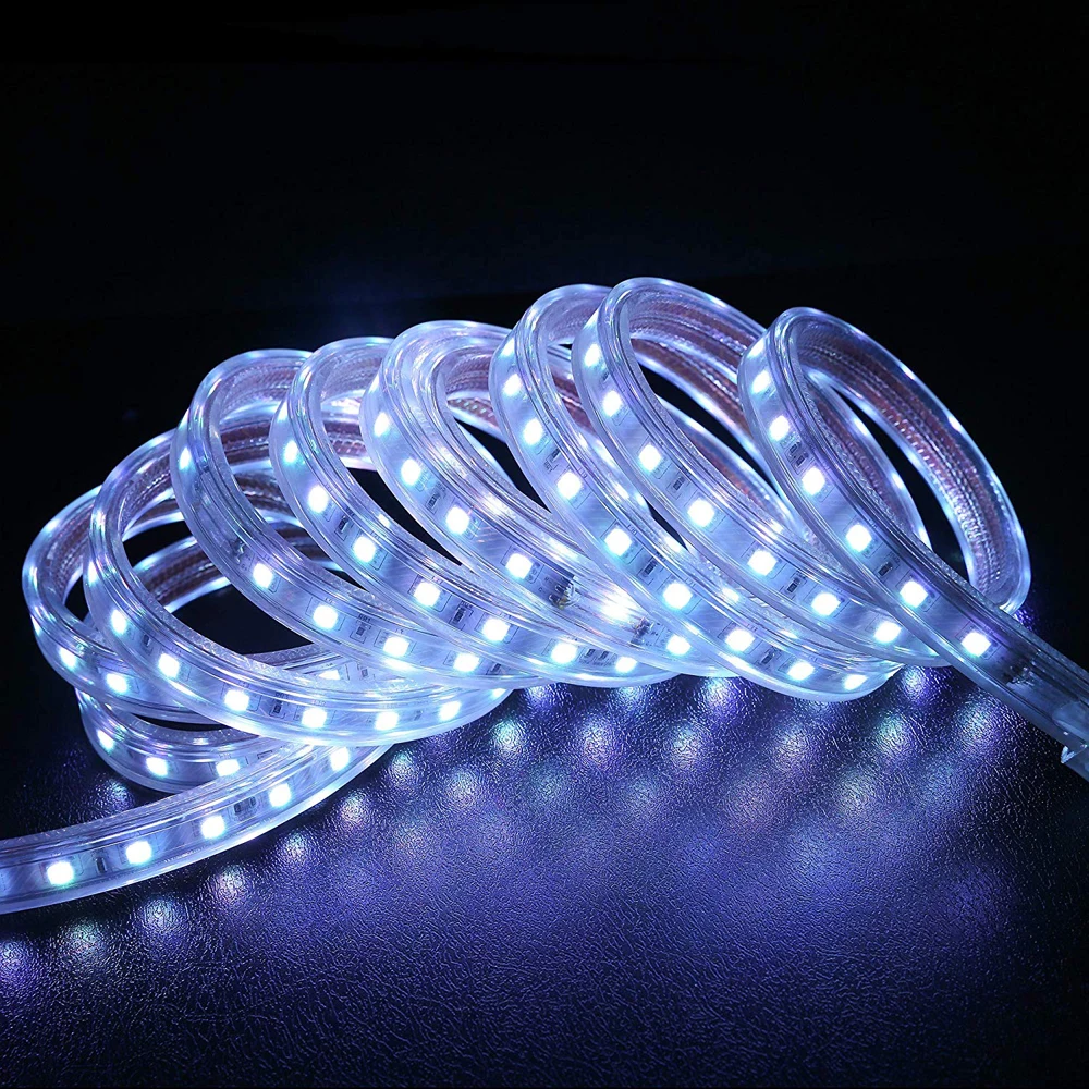 Tira de luces LED Flexible de 220V, cinta impermeable SMD 5050 de 60leds/m, 1m, 5m, 10m, 15m, 20m, 100m, color blanco cálido/Blanco/RGB con enchufe