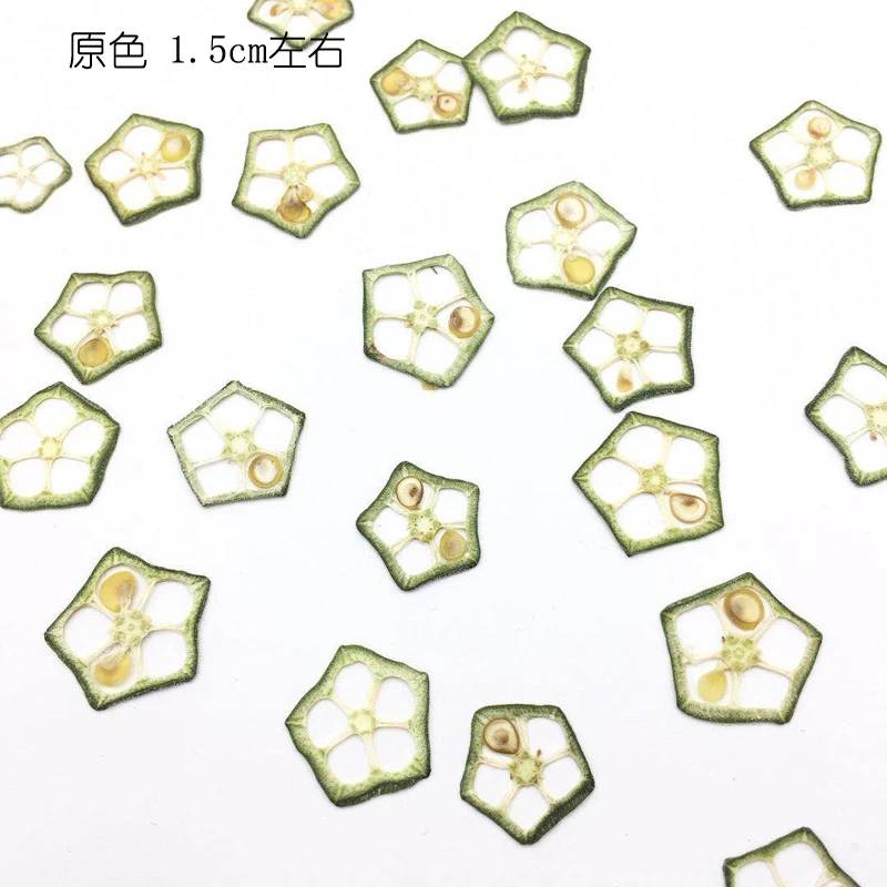 

20pcs Pressed Dried Okra Fruit Slices Plant Herbarium For Jewelry Postcard Invitation Card Phone Case Bookmark Making DIY