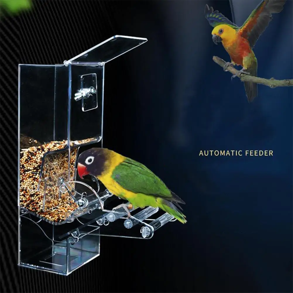 1pc Bird Feeder Bird Poultry Feeder Automatic Acrylic Food Container Parrot Splash Proof Bird Feeding Device Cage Accessories