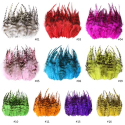 50pcs Natural Guinea Fowl Feather For Crafts Pheasant Plumas Earring Making Accessories Decorative Dream Catcher Feathers 8-13Cm