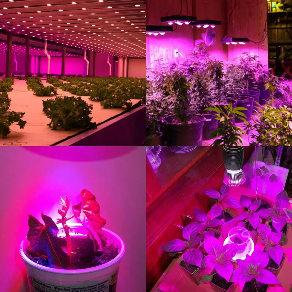 Full Spectrum CFL LED Grow Light Lampada E27 E14 MR16 GU10 IR UV Indoor Plant Lamp Flowering Hydroponics System Garden 110V 220V