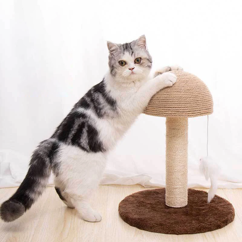 

Cat ScratCher Furniture For Sisal Rope Tree Tower Cats House Tree Tower Condo Furniture Pet Shelf Wall Rascadores Para Gatos