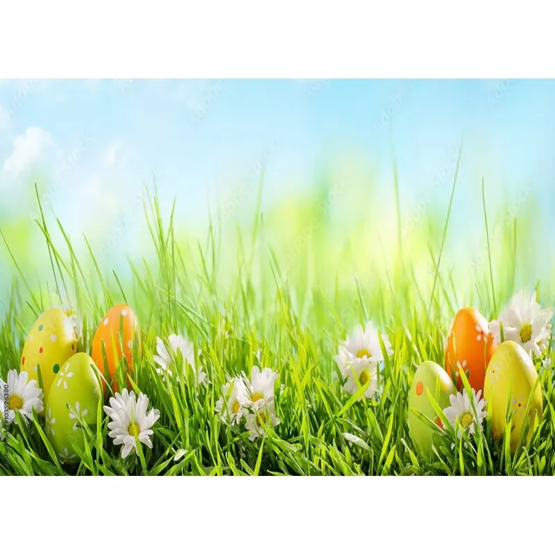 Uova di pasqua fondali fotografia Studio fotografico puntelli primavera fiori bambino ritratto di bambino fondali foto 21126 FHJ-01