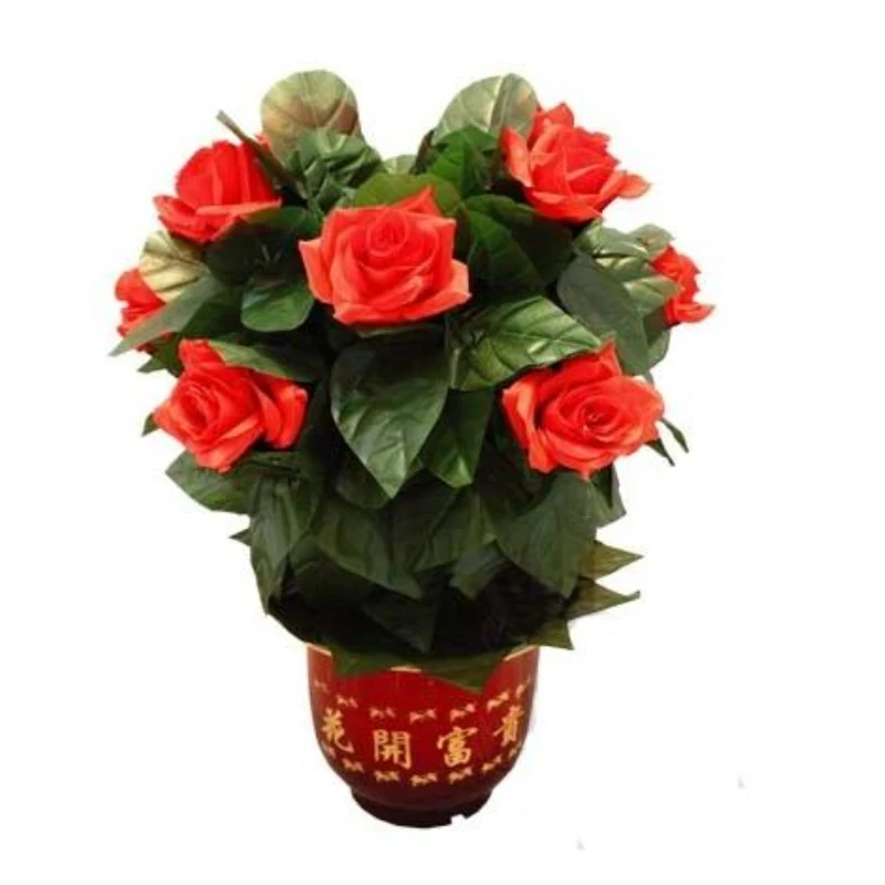 

Blooming Rose Bush - Remote Control - 10 Flowers - Magic Trick Flower Magic close Up Magic Stage Magia Porps Classic Magie