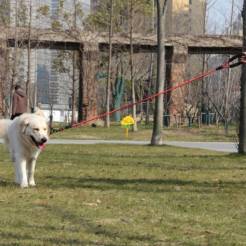 Haustierleinen, reflektierend, mehrfarbig, rundes Seil, großes Hundehalsband, Leine, Training, Laufseil, bequem für mittelgroße und große Hunde – Detail 9