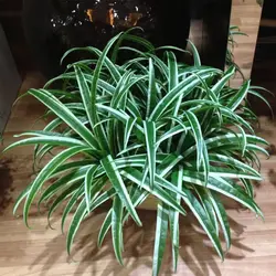 Artificial Green Chlorophytum Plant Fake Silk Flowers Leaves Grass Plant Floral Home Garden Decoration