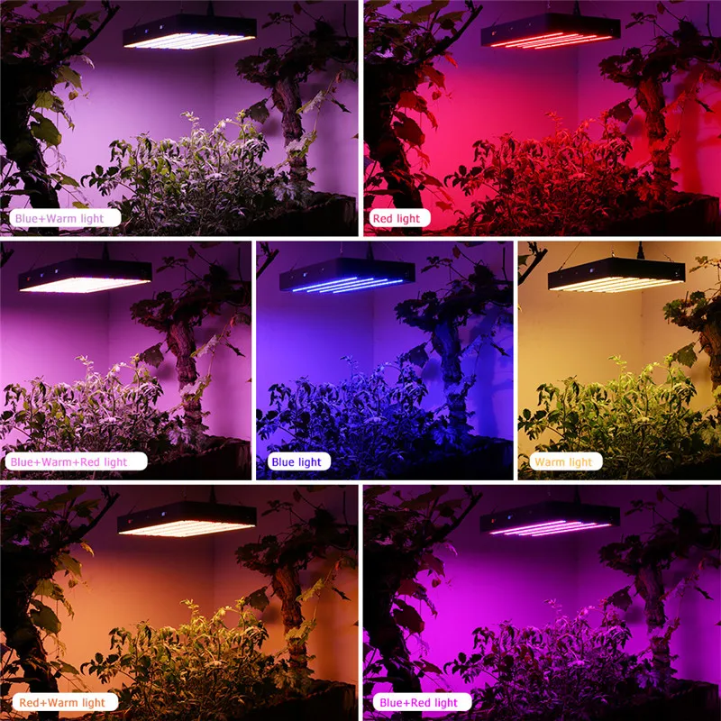 LVJING 600W 1200W 2500W 3000W 4000W Full Spectrum Grow Light LED Timing Lamp For Plants Indoor Flowers Hydroponics Tent Growbox