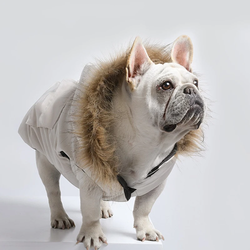 Winter Pet Coat Warm Dog Down Jacket Hoodie Puppy Clothes for Small Medium Dogs Chihuahua French Bulldog Cats Clothing Windproof