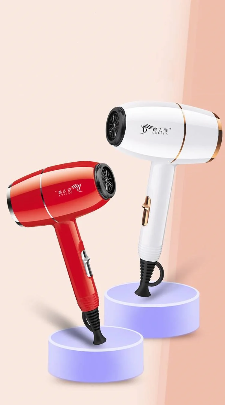 Secador de pelo de alta potencia de 220V, secador de pelo fuerte y de secado rápido, secador de pelo de temperatura constante de alta calidad