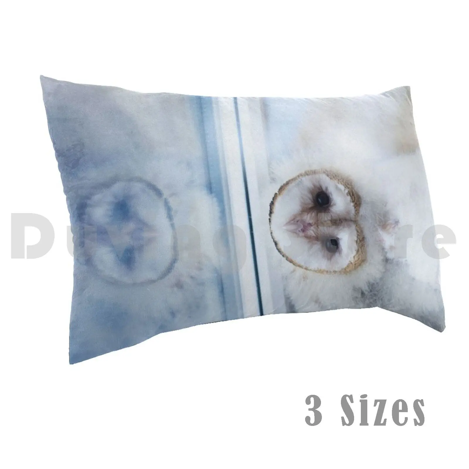 Baby Barn OwlPillow case Owl Owl Chick Chick Barn Owl Barn Owl Chick Reflection Mirror Feather