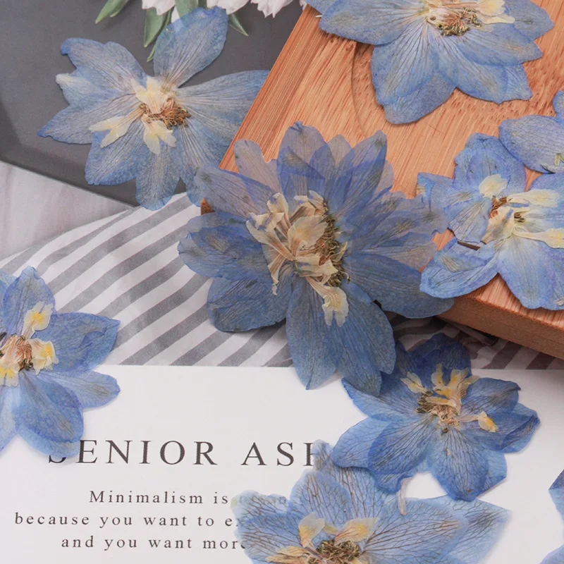 60 قطعة ضغط المجففة كبيرة 5-7 سنتيمتر Consolida Ajacis زهرة النباتات المعشبة للمجوهرات الهاتف حالة بطاقة بريدية المرجعية شمعة DIY