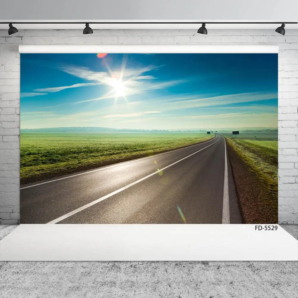 Highway Sun Grassland Photo Background Customized Fond Backdrop for Baby Children Portrait Scenic Photophone Photography Props