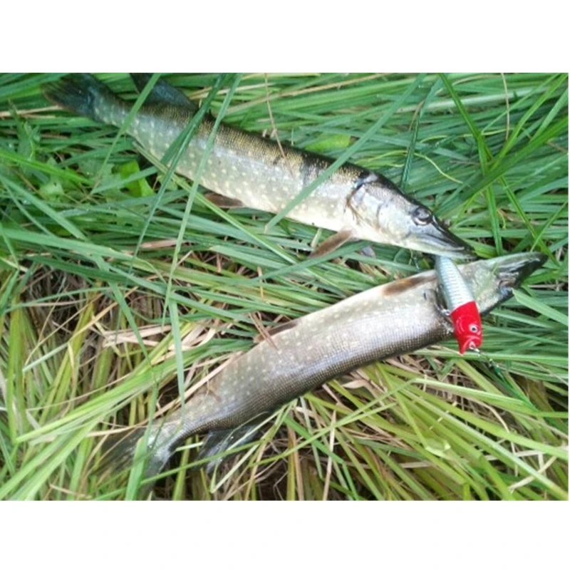 Señuelos de Pesca Popper, cebos duros artificiales Crankbait Swimbait, carpa Tackl, 9cm/11,5g