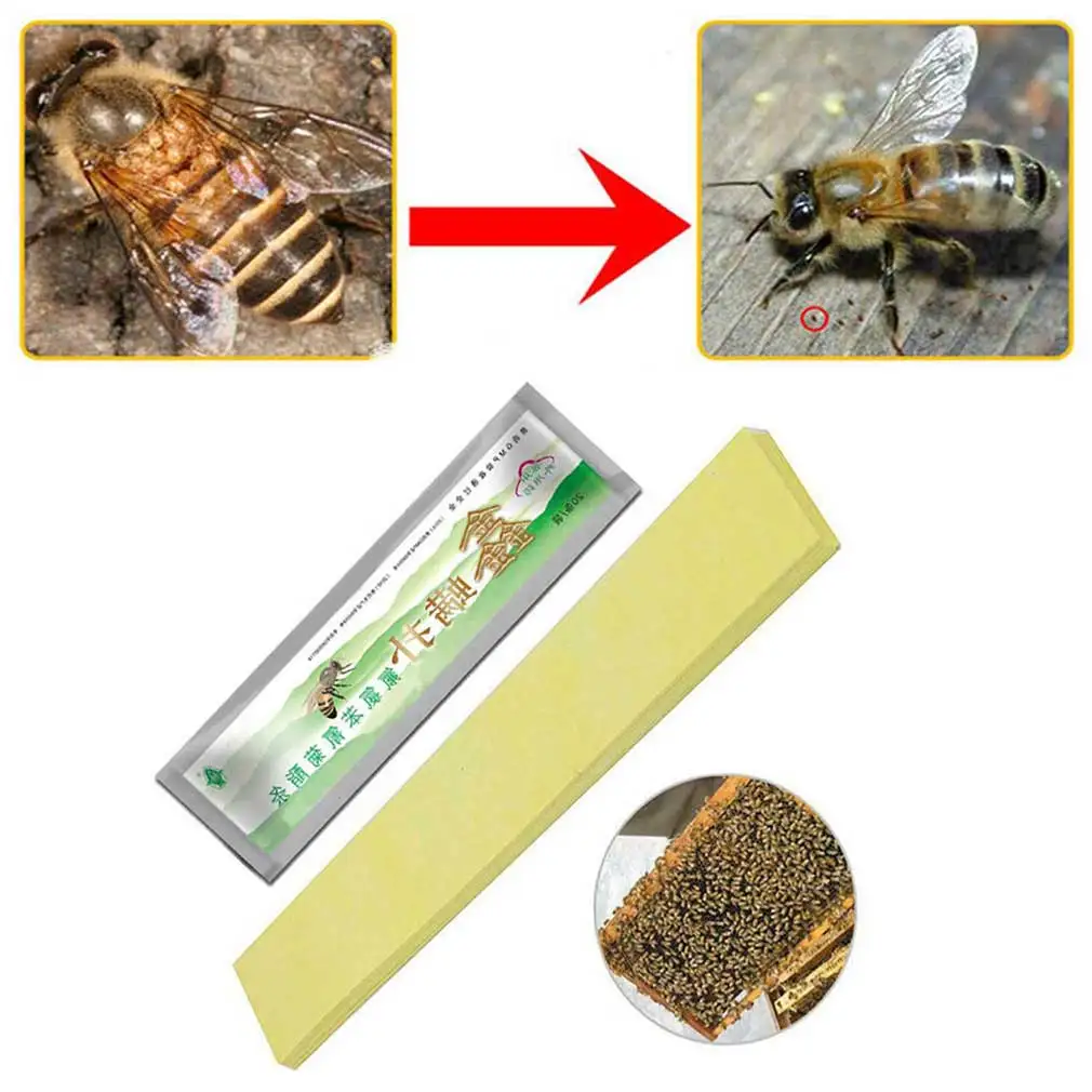 200 Pcs Bee Acaricide Against Fluvalinate Killer Miticide Bees Mite Strips Anti Insect Pest Controller Instant Mite Stri