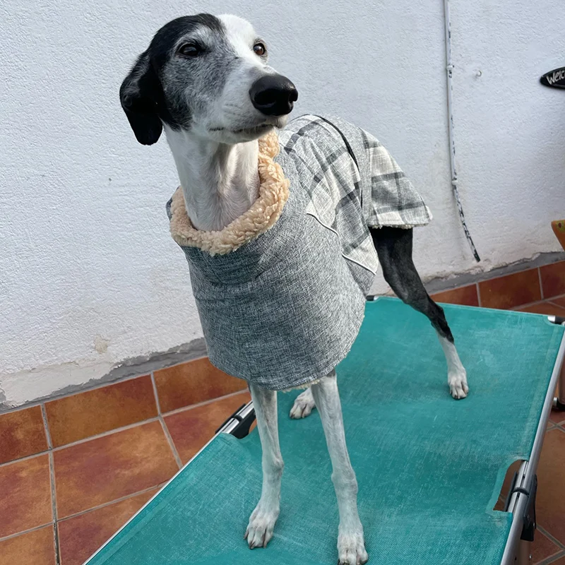 Warm Fleece Winter Big Dog Clothes Fashion Plaid Print Pet Jacket with Belt for Medium Large Dogs Greyhound Weimaraner Clothing