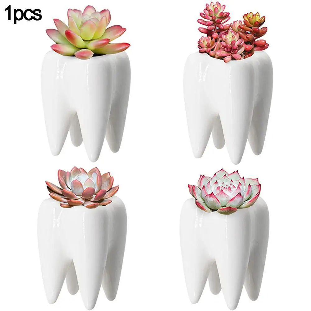 1Pcs Tooth Shaped Tabletop Ceramic Flowerpot Home Furnishings Cute Cactus Pot Flower Succulent Plant Nursery Basin Table Va L5L0