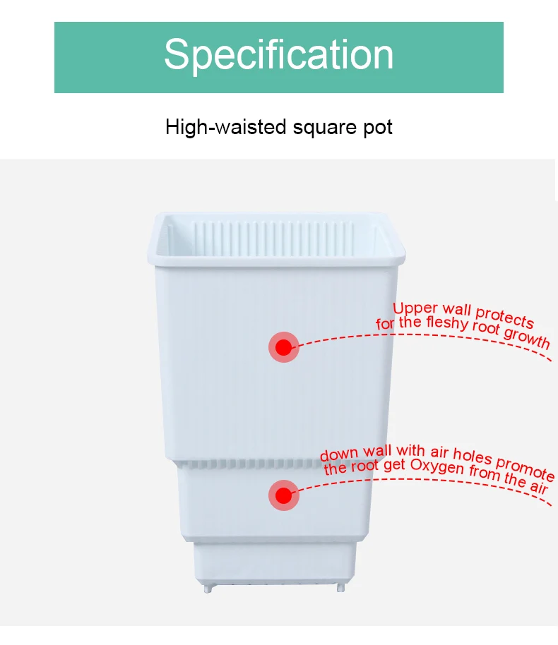 Meshpot Kunststoff Sukkulenten Topf High Saist Kaktus Pflanzer Bonsai Garten Lieferant aus gezeichnete Drainage und atmungsaktive Pflanzen Topf – Detail 7