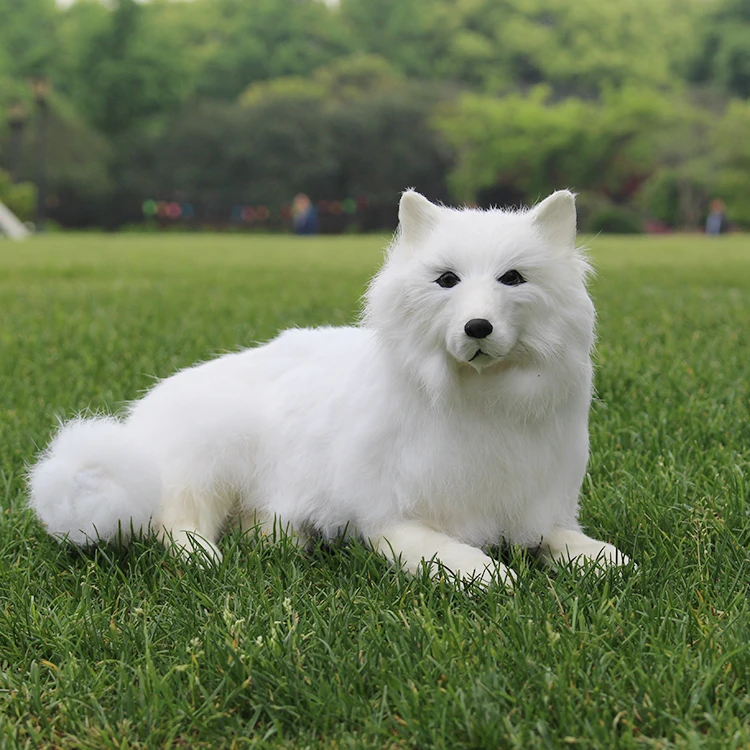 

real life toy white samoyed dog about 30x20cm hard model handicraft,plastic&furs lying dog home decoration toy gift w4029