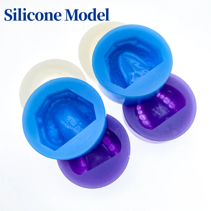 

Dental Plaster Model Silicone Mold Mould of Edentulous Jaw Complete Cavity Block Dental Supplies