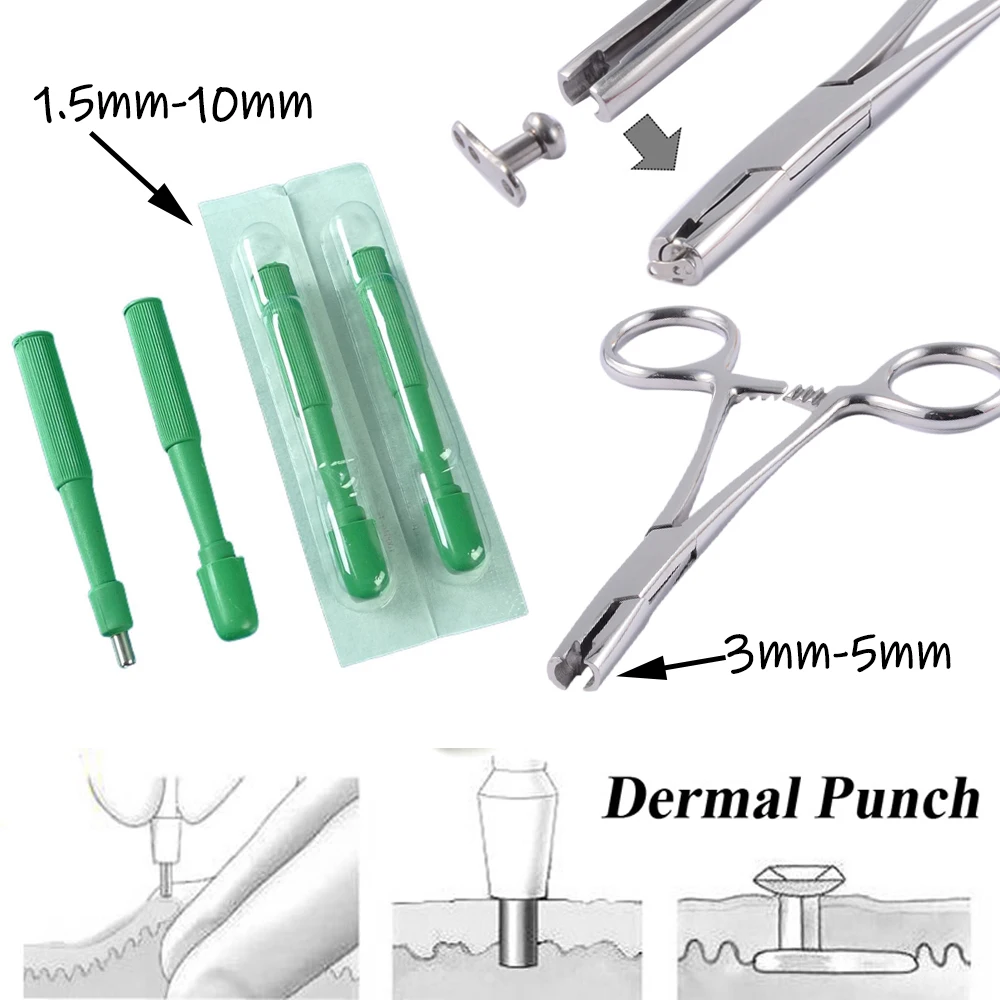 Disposable Biopsy Dermal Punch For Skin Dermal Anchor Holding Tube Tool Pliers Surgical Steel Professional Piercing Equipment