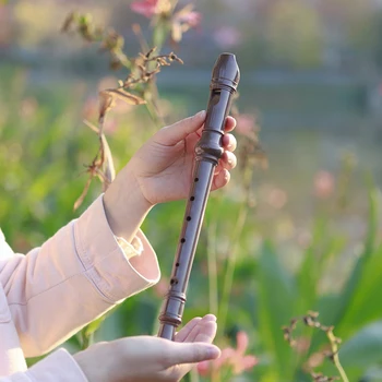 Flauta Musical de resina de 8 agujeros, grabadora de instrumentos Flauta larga para principiantes, instrumentos de viento de madera, regalos para niños con palo de limpieza