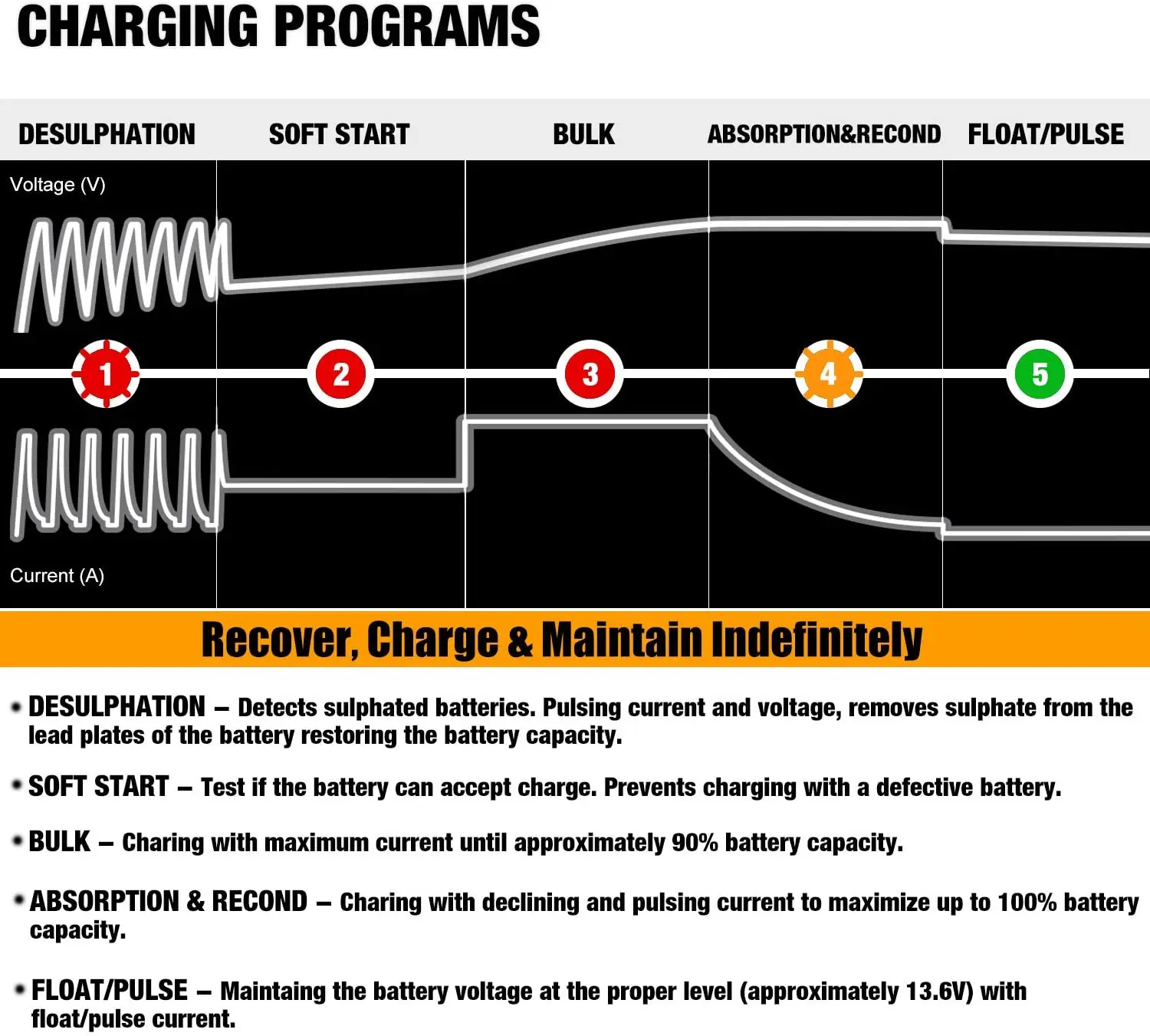 12V 800mA automatischer Smart Car Motorrad Batterieladegerät Betreuer – Detail 23