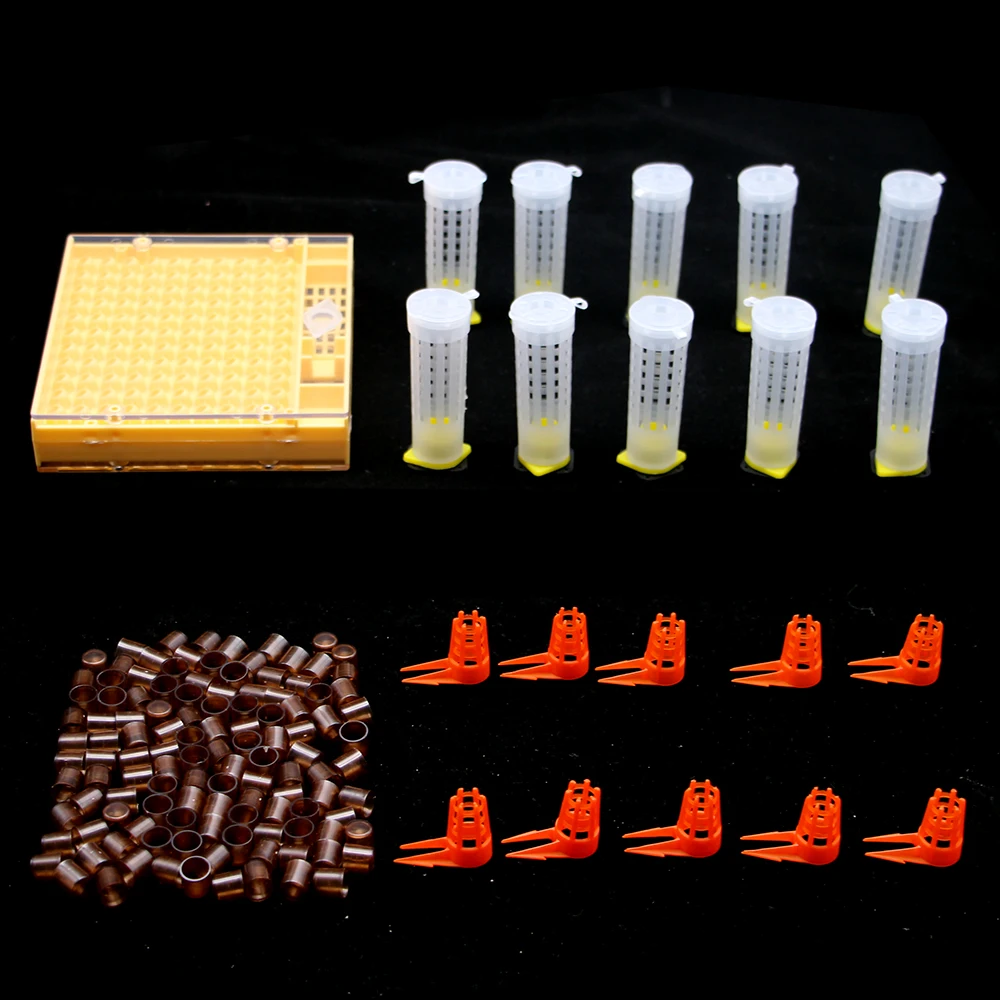 1SET Beekeeping Supplies Queen Rearing System Kit Pretection Cover Cage Brown Cell Larva Plastic Professtional Bee Tool New King