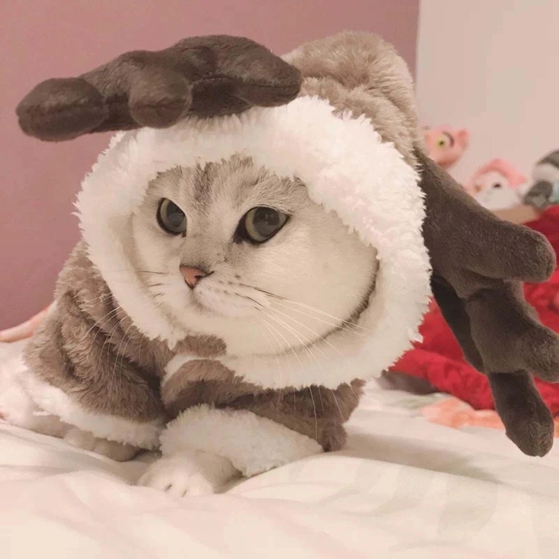 Winter Cat Clothes Warm Fleece Pet Costume For Small Cats Kitten Jumpsuits Clothing Cat Coat Jacket Funny Pets Dog Cat Clothes