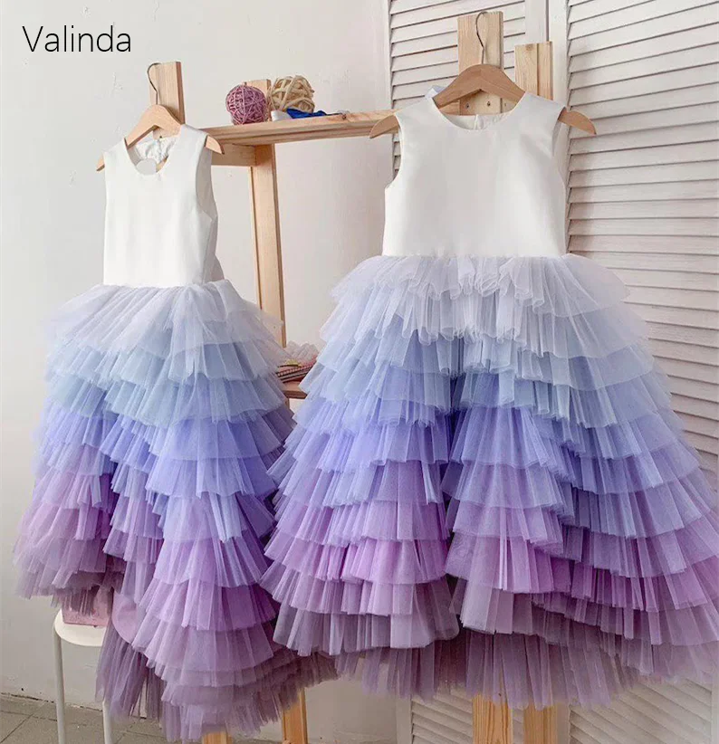 Heart Back Girl Dress for Birthday Party Ombre Tiered Tulle Skirt Formal Occasion Pageant Gowns Kids Costume