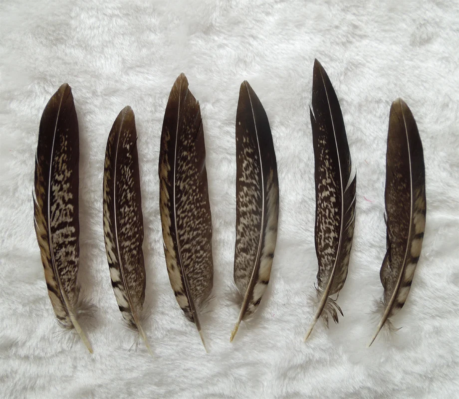 Plume! 10 Pieces/Lot Beautiful Natural  LADY AMHERST Pheasant Tail Feathers, 10-15cm,15-20cm Diy Crafts Decoration