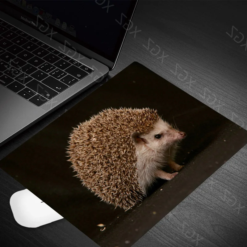 Yzuoan Large Promotion Small Size Mouse Pad Small and Exquisite Hedgehog Animal Pattern PC Computer Notebook Desk Mat