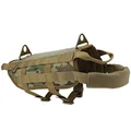 Multicam