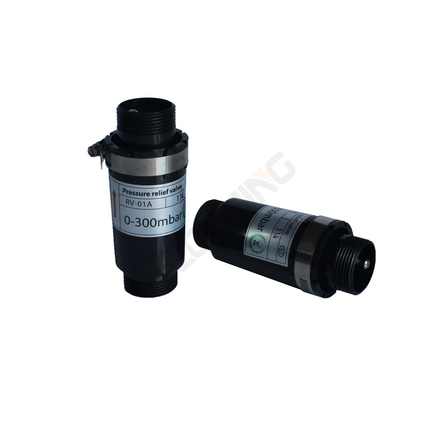 G1 1/4inch 1.2inch PVC RV01 02 0-600 Mbar  Safe Pressure Relief Valve for Air Ring Blower Vacuum Pump