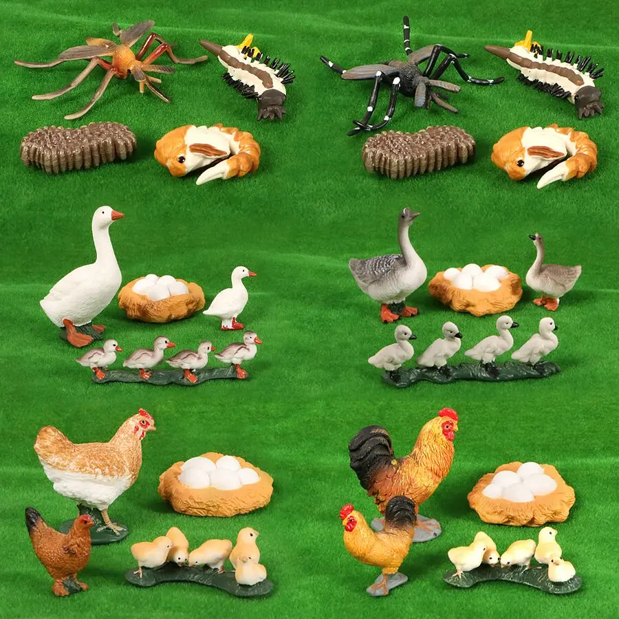 Animal Life Cycle Models Chicken,Mosquito,Goose Growth Cycle Action Figure Figurine PVC Model For Kids Educational Teaching Toys