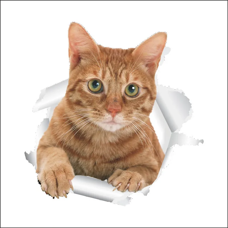 1pcs Cats 3D Wall Sticker Toilet Stickers Hole View Vivid Bathroom for Home Decoration Animals Art Sticker