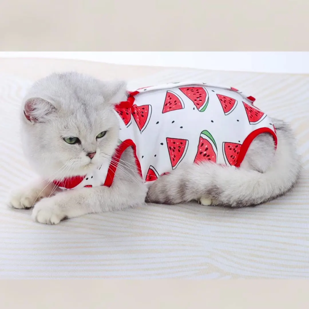 Haustier Katze Kleidung Frühling Sommer Katzen Sterilisation Anzug Welpen Atmungsaktive Overalls Kleidung Recovery Anti Lecken Wunden Anzüge