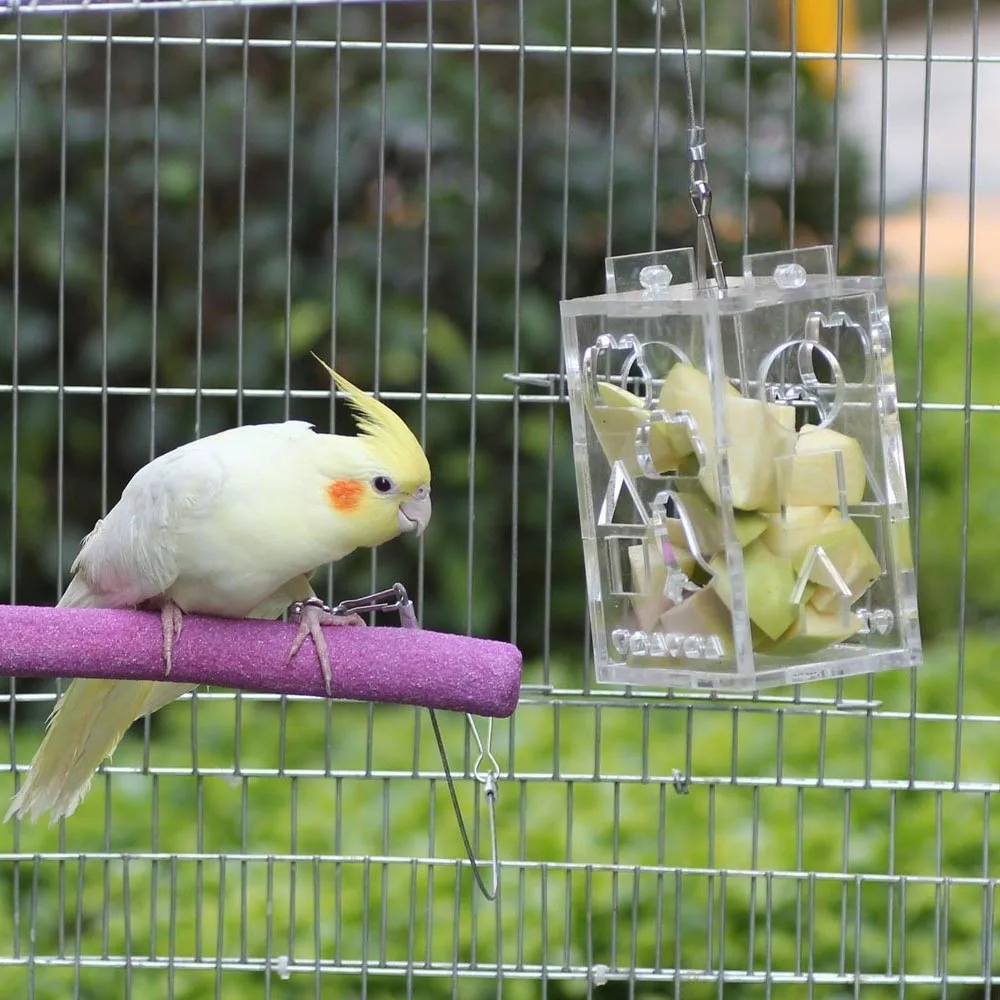 Behogar Funny Transparent Acrylic Bird Parrot Hanging Foraging Feeder Feeding Box Educational Toy for Budgies Parakeet Cockatoo