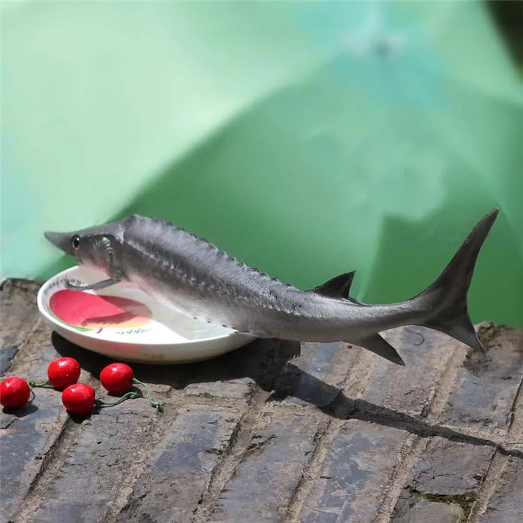 Simulation Pu Fake Sturgeon Seafood Food Fish Model Baby Toys Model Kitchen Decoration Props Teaching Materials Teaching Aids