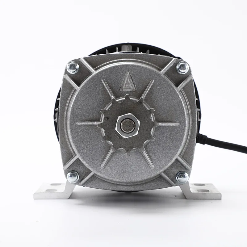 24 v 500 w brushless dc permanent magnet motor freight electric tricycle motors can be customized