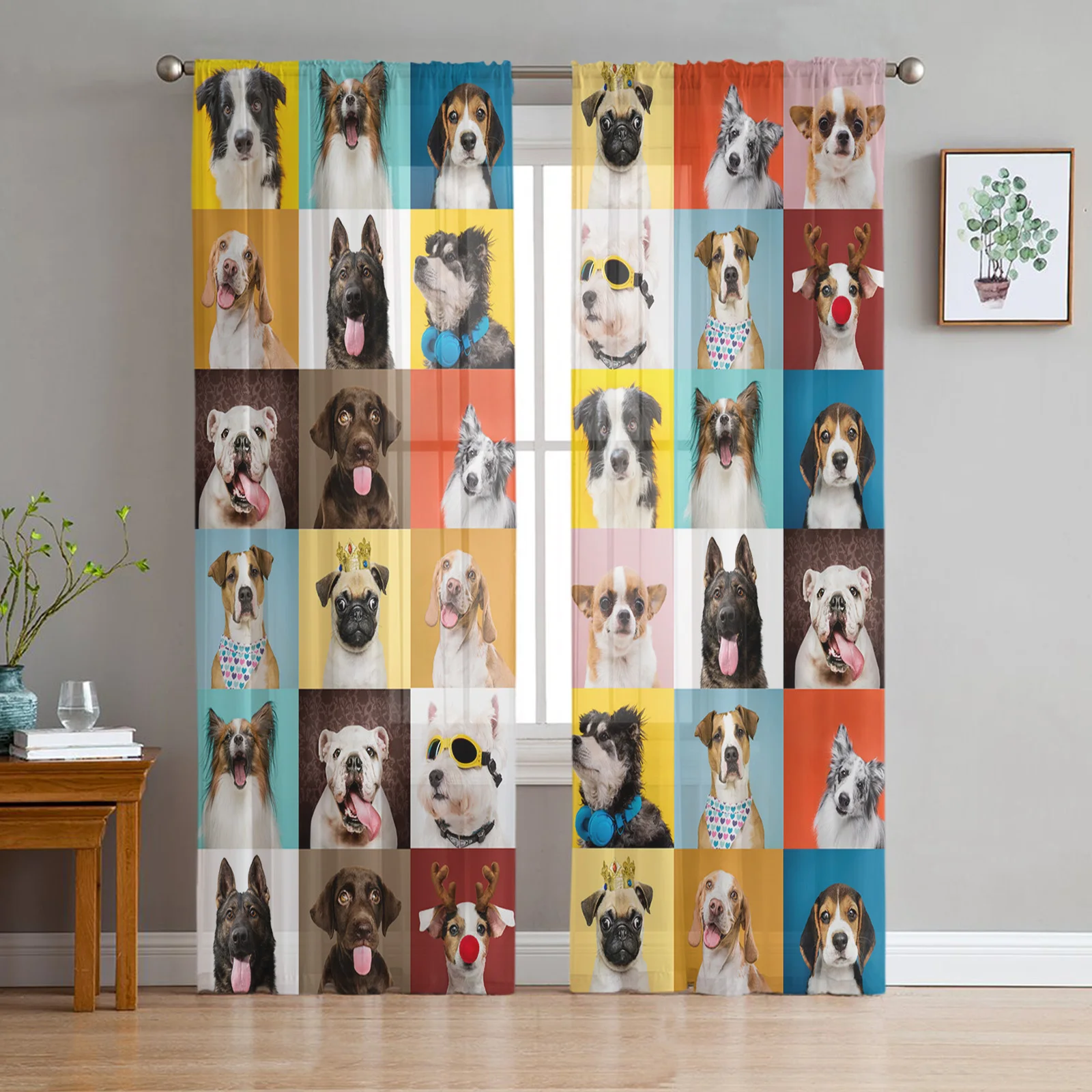 Bulldog Collie Animal Dog Sheer Curtains Modern Gauze Curtain for Living Room Bedroom Voile Yarn Curtains