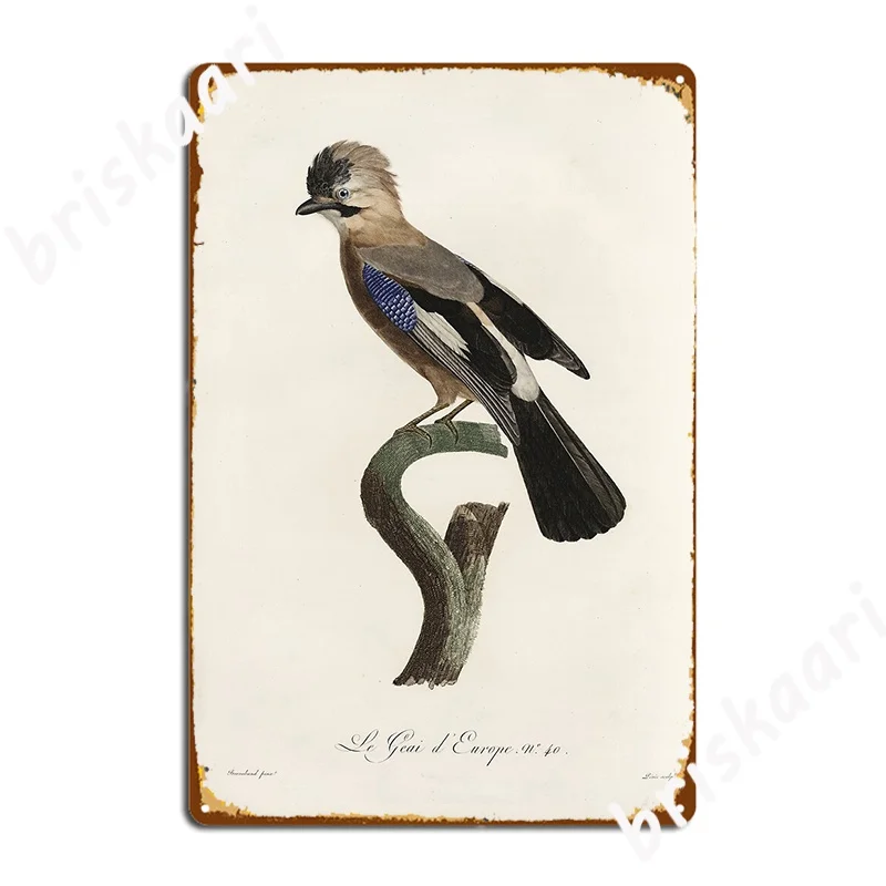 Vintage French Bird Illustration Jacques Barraband Le Geai D Europe Metal Sign Painting Décor Personalized Club Bar