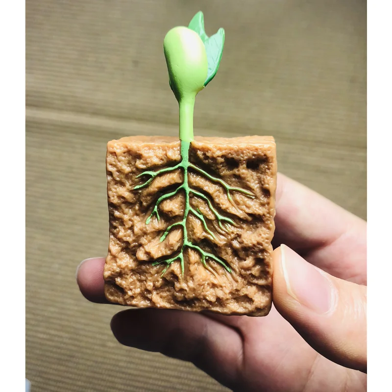 Montessori Life Cycle of a Green Bean Plant Figures/ Cognitive Cards/ Tray/ Board Seeds Growth Learning Biology Teach Materials