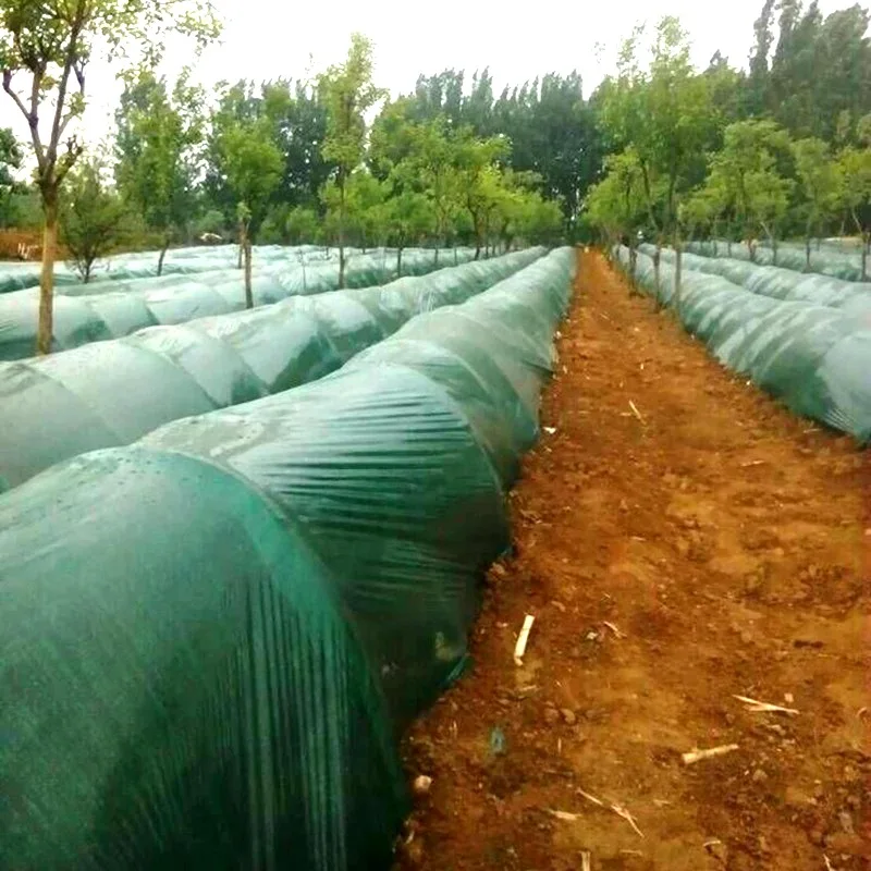 1m Width:1M 1.2M 2M Green Film Vegetable Ginger Planting Mulch Film Agriculture Greenhouse Film Young Plants Protection Sheeting