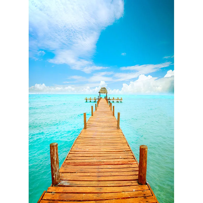 ZHISUXI alat peraga Studio, latar belakang foto awan langit LATAR BELAKANG lantai kayu pemandangan alam tepi pantai musim panas 210309TFX-04