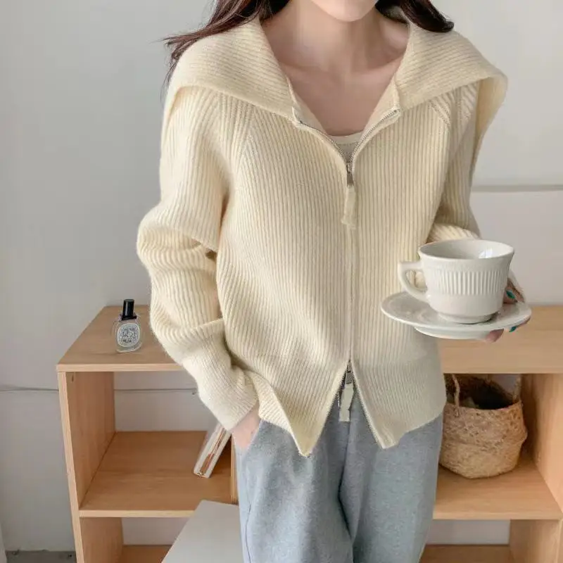 Short Cardigans Turn Down Collar Solid Autumn Winter Plue Size Clothes Women Sweater Vintage Zipper Warm Thick Sueters De Mujer