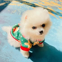 Christmas Cute Pomeranian Hoodie Dog Sweater for Small Dogs Pets Clothing Winter Puppy Cat Clothes Chihuahua Bichon Sweatshirt